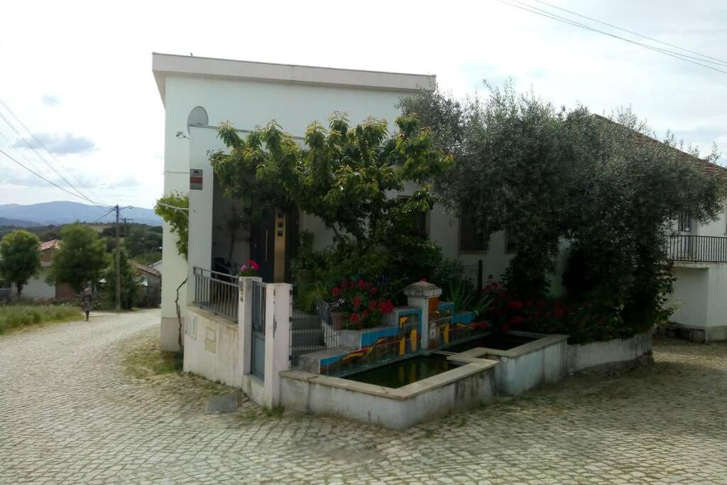 Casa Da Oliveira Apartment Milhao Exterior photo