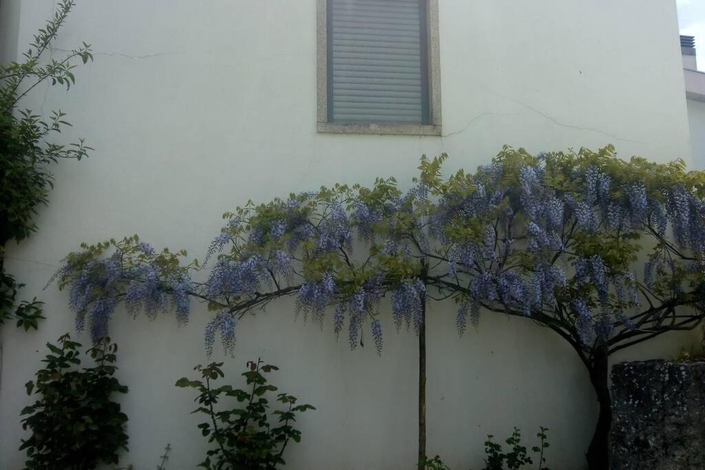 Casa Da Oliveira Apartment Milhao Exterior photo